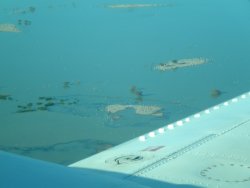 P6220077.JPG P6220077.JPG