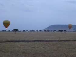 P1000674.JPG P1000674.JPG