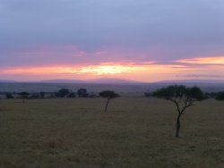 P1000676.JPG P1000676.JPG