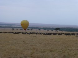 P1000695.JPG P1000695.JPG