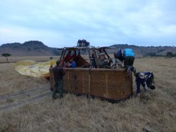 P1000696.JPG P1000696.JPG