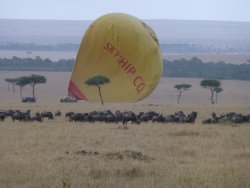 P1000703.JPG P1000703.JPG