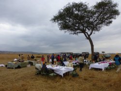 P1000705.JPG P1000705.JPG