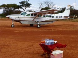 P1010089.JPG P1010089.JPG