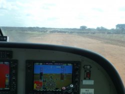 P1010097.JPG P1010097.JPG