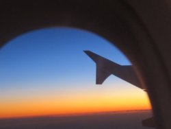 IMG_3397.JPG IMG_3397.JPG