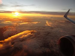 DSC06752.JPG DSC06752.JPG