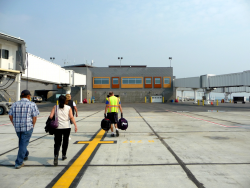 1604301380299.png 1604301380299.png