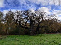 2020-11-03 11.56.34.jpg 2020-11-03 11.56.34.jpg