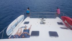 20201006_133348.jpg 20201006_133348.jpg