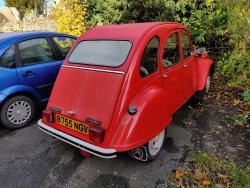 IMG_20201104_105709.jpg IMG_20201104_105709.jpg