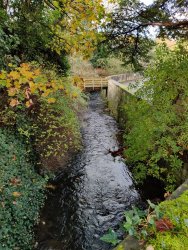 IMG_20201104_105222.jpg IMG_20201104_105222.jpg