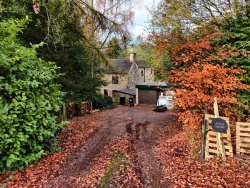 IMG_20201104_104949.jpg IMG_20201104_104949.jpg