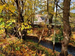 IMG_20201104_104619.jpg IMG_20201104_104619.jpg