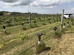 CA32F28D-93B5-4874-BA8D-DD488A725994.jpeg CA32F28D-93B5-4874-BA8D-DD488A725994.jpeg