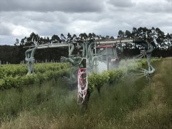 F0B136A3-F416-45E7-980A-2D626A0DAA0D.jpeg F0B136A3-F416-45E7-980A-2D626A0DAA0D.jpeg