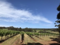 FB236805-AEEC-4133-9B57-3AF85AC980BE.jpeg FB236805-AEEC-4133-9B57-3AF85AC980BE.jpeg