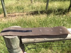 AC607DCB-2526-42DD-872E-E5371AD04386.jpeg AC607DCB-2526-42DD-872E-E5371AD04386.jpeg