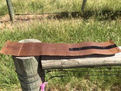 00E3BFA3-8DC5-4E38-9891-9631FFC23F6A.jpeg 00E3BFA3-8DC5-4E38-9891-9631FFC23F6A.jpeg