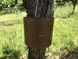 623F1B78-ADB3-4365-BDB8-F0B91ADF68C2.jpeg 623F1B78-ADB3-4365-BDB8-F0B91ADF68C2.jpeg