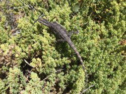 102F16FB-6A6E-4D4E-89F1-91F492D2D3C8.jpeg 102F16FB-6A6E-4D4E-89F1-91F492D2D3C8.jpeg