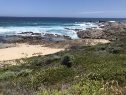 0692D430-8176-47EE-91D5-0BD96A59699D.jpeg 0692D430-8176-47EE-91D5-0BD96A59699D.jpeg