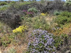 9541A4BA-4F63-489A-BF9D-77642A045769.jpeg 9541A4BA-4F63-489A-BF9D-77642A045769.jpeg