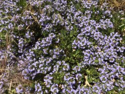 24CCEF14-E92B-4BBC-913A-1057ABC56EA0.jpeg 24CCEF14-E92B-4BBC-913A-1057ABC56EA0.jpeg