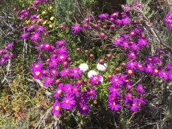 B361C2A5-F0BC-4800-99F7-61F6058CE425.jpeg B361C2A5-F0BC-4800-99F7-61F6058CE425.jpeg