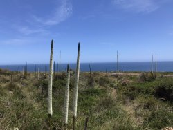 2A19A7F3-1EF3-4BE8-B489-B2008E9DB8B9.jpeg 2A19A7F3-1EF3-4BE8-B489-B2008E9DB8B9.jpeg