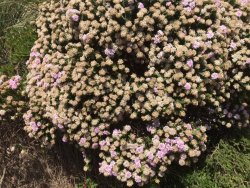 C71D14A3-F5B3-4290-B2EF-B2FEB9A6349B.jpeg C71D14A3-F5B3-4290-B2EF-B2FEB9A6349B.jpeg