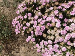 B00D5EA0-FFF0-4690-BB4B-6488EA8954F9.jpeg B00D5EA0-FFF0-4690-BB4B-6488EA8954F9.jpeg