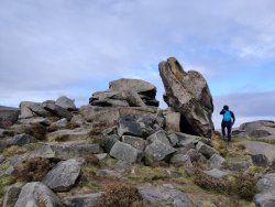 2020-11-05 11.18.16.jpg 2020-11-05 11.18.16.jpg