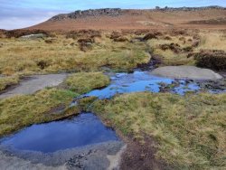 2020-11-05 11.40.34.jpg 2020-11-05 11.40.34.jpg