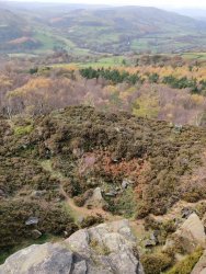 2020-11-05 12.39.53.jpg 2020-11-05 12.39.53.jpg