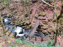 2020-11-05 13.43.42.jpg 2020-11-05 13.43.42.jpg