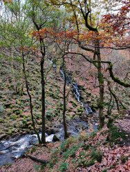 2020-11-05 14.11.11.jpg 2020-11-05 14.11.11.jpg