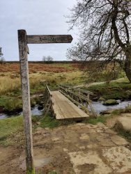 2020-11-05 14.25.54.jpg 2020-11-05 14.25.54.jpg