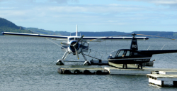 1604625839563.png 1604625839563.png