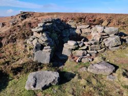 2020-11-06 12.41.50.jpg 2020-11-06 12.41.50.jpg