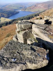 2020-11-06 12.52.16.jpg 2020-11-06 12.52.16.jpg