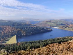 2020-11-06 13.05.36.jpg 2020-11-06 13.05.36.jpg