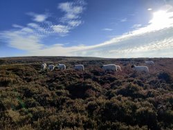 2020-11-06 13.22.41.jpg 2020-11-06 13.22.41.jpg