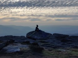 2020-11-06 13.39.22.jpg 2020-11-06 13.39.22.jpg