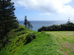 1604724976926.jpeg 1604724976926.jpeg