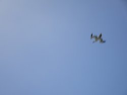 1604725062983.jpeg 1604725062983.jpeg