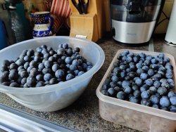 2020-11-07 13.52.26.jpg 2020-11-07 13.52.26.jpg