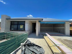 IMG_0141.jpeg IMG_0141.jpeg