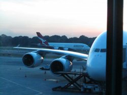 IMG_1317.JPG IMG_1317.JPG