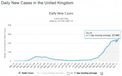 2020 11 14 UK daily cv.jpg